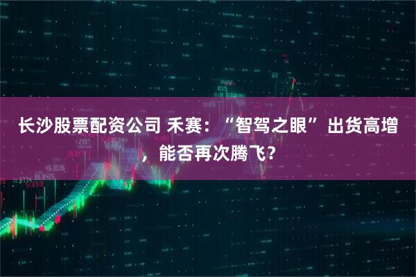 长沙股票配资公司 禾赛：“智驾之眼” 出货高增，能否再次腾飞？